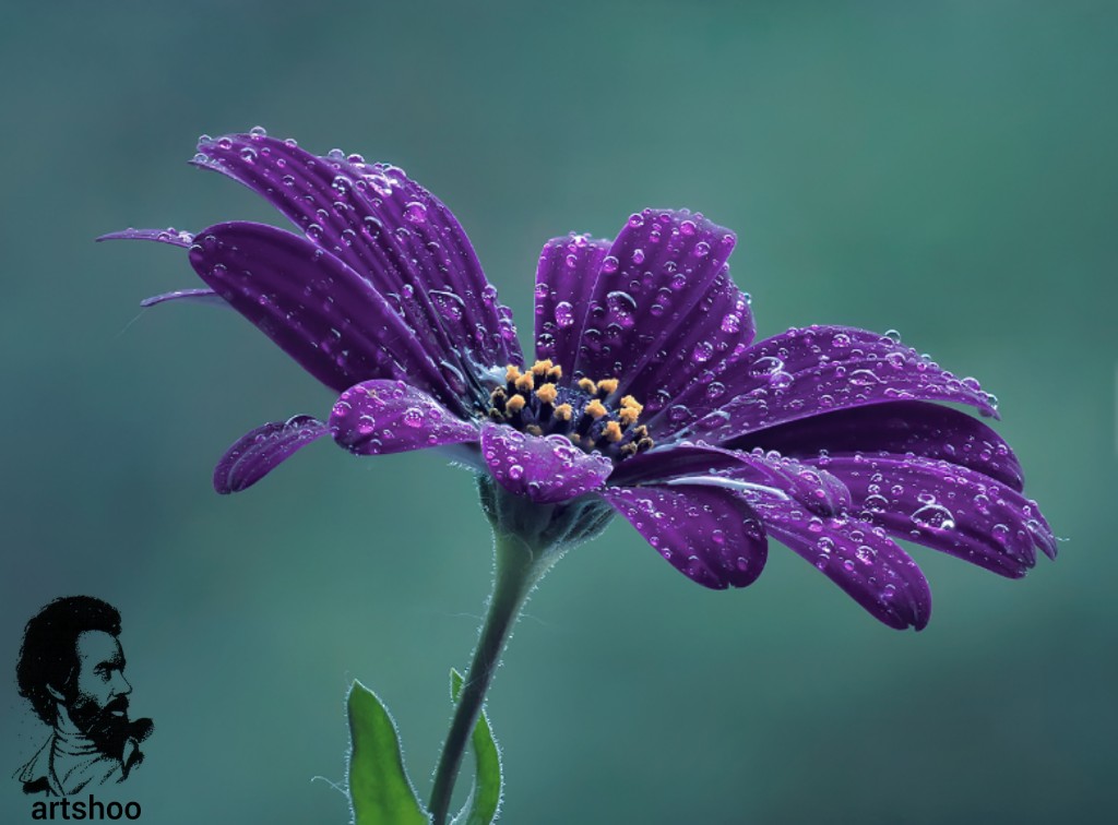 گل اورژینال رنگ روغن